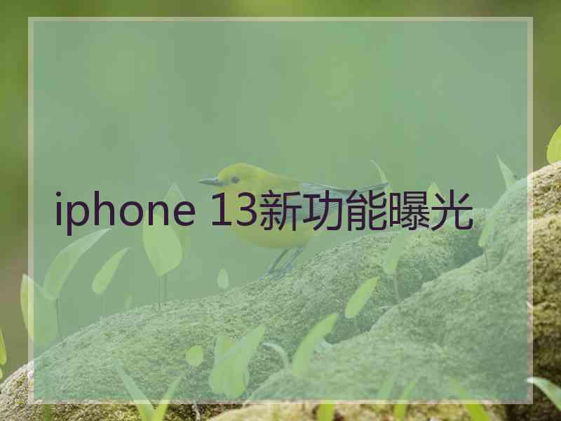 iphone 13新功能曝光