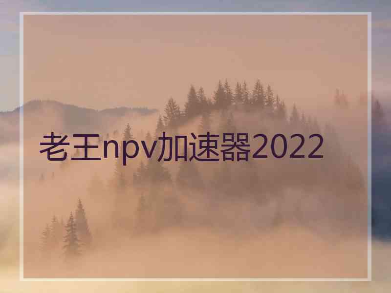 老王npv加速器2022