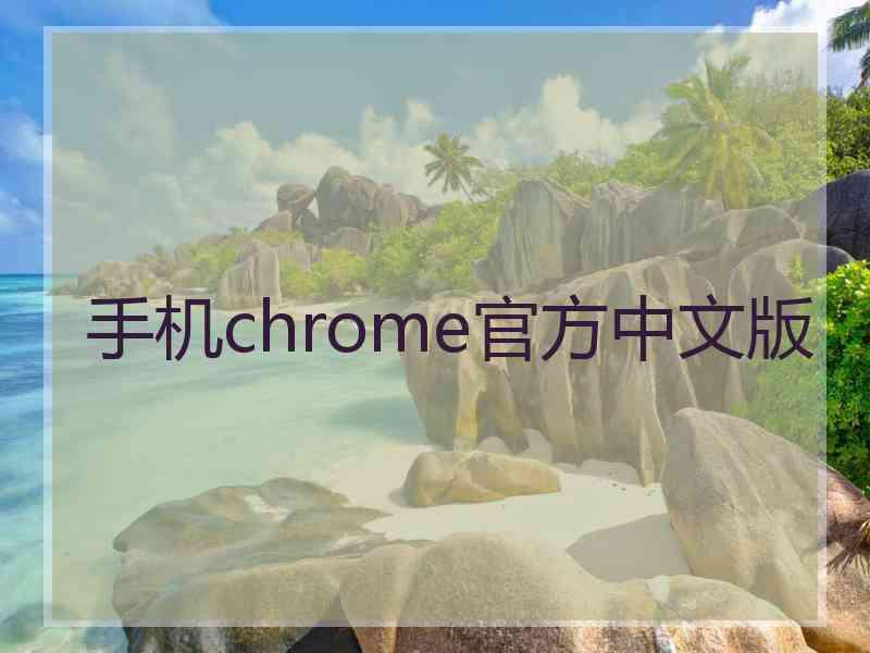 手机chrome官方中文版