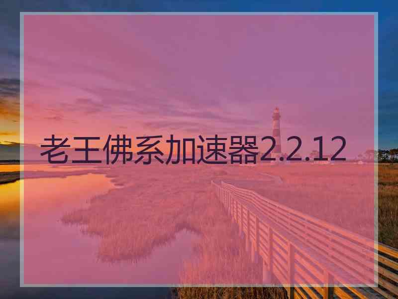 老王佛系加速器2.2.12