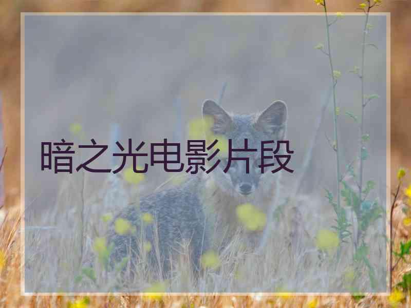 暗之光电影片段 暗之光电影片段