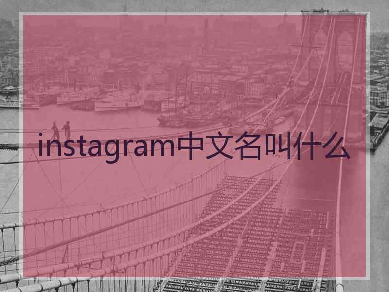 instagram中文名叫什么