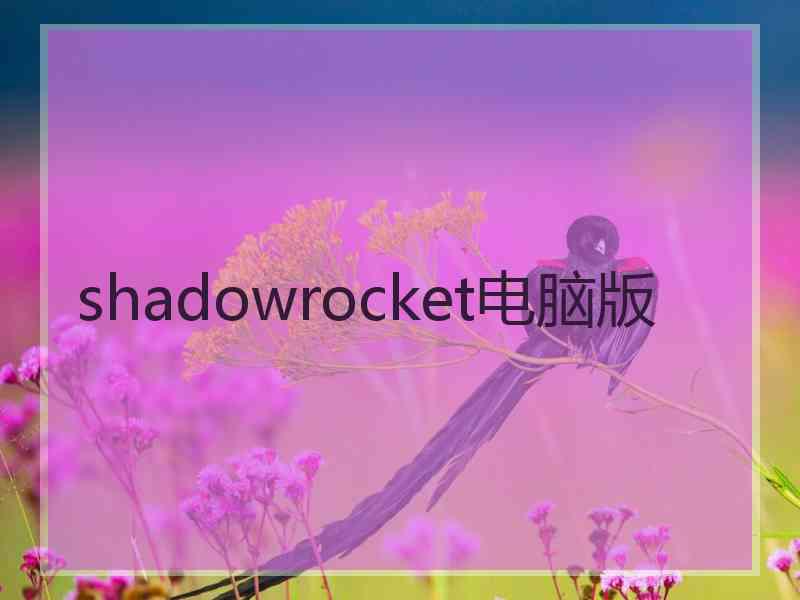 shadowrocket电脑版