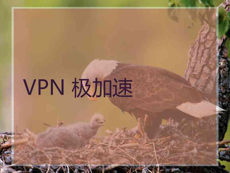 VPN 极加速