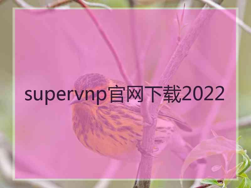 supervnp官网下载2022