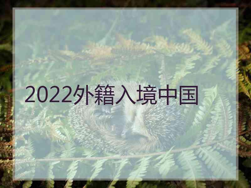 2022外籍入境中国
