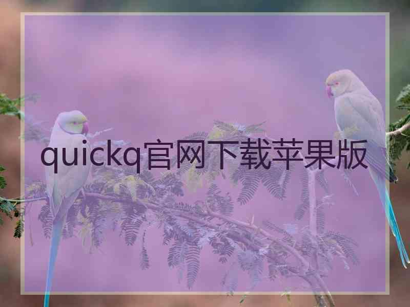 quickq官网下载苹果版