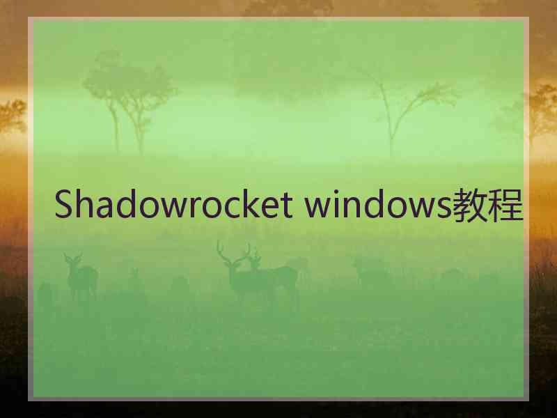 Shadowrocket windows教程