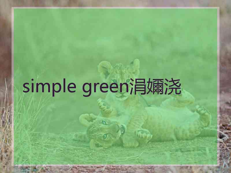simple green涓嬭浇