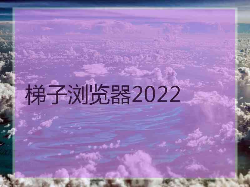梯子浏览器2022