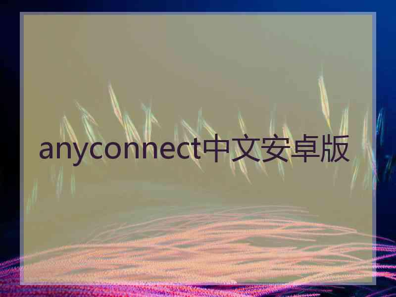 anyconnect中文安卓版
