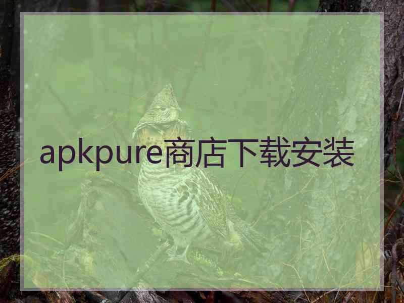 apkpure商店下载安装