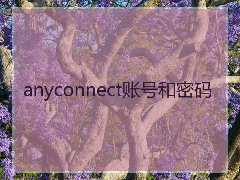 anyconnect账号和密码