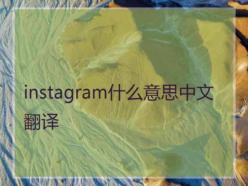 instagram什么意思中文翻译