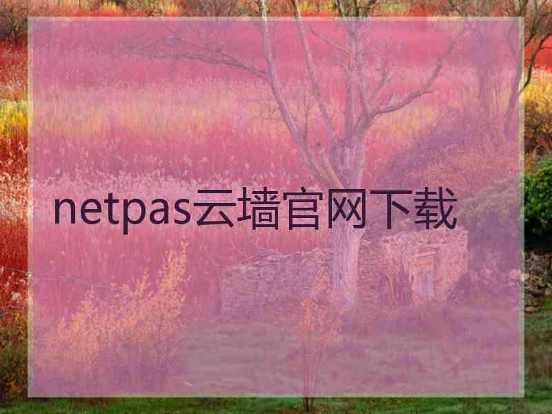 netpas云墙官网下载