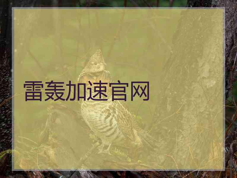 雷轰加速官网