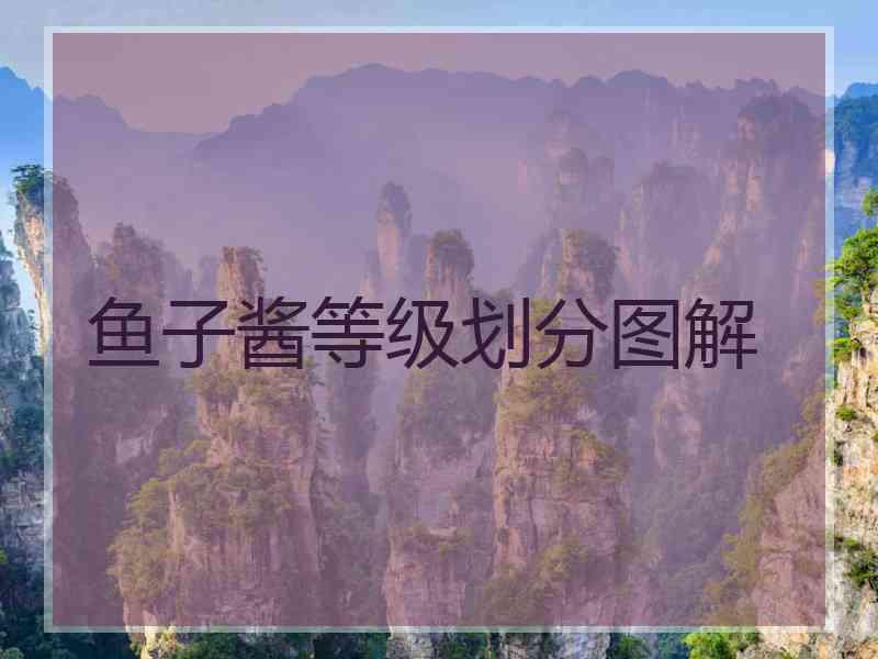 鱼子酱等级划分图解