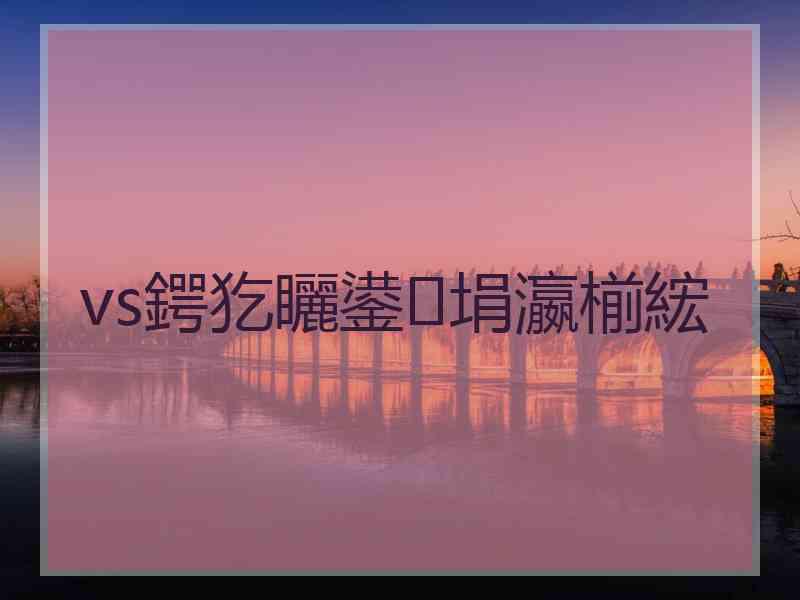 vs鍔犵矖鍙埍瀛椾綋