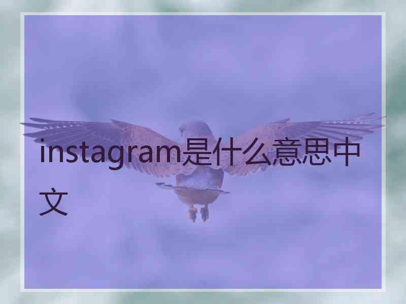 instagram是什么意思中文