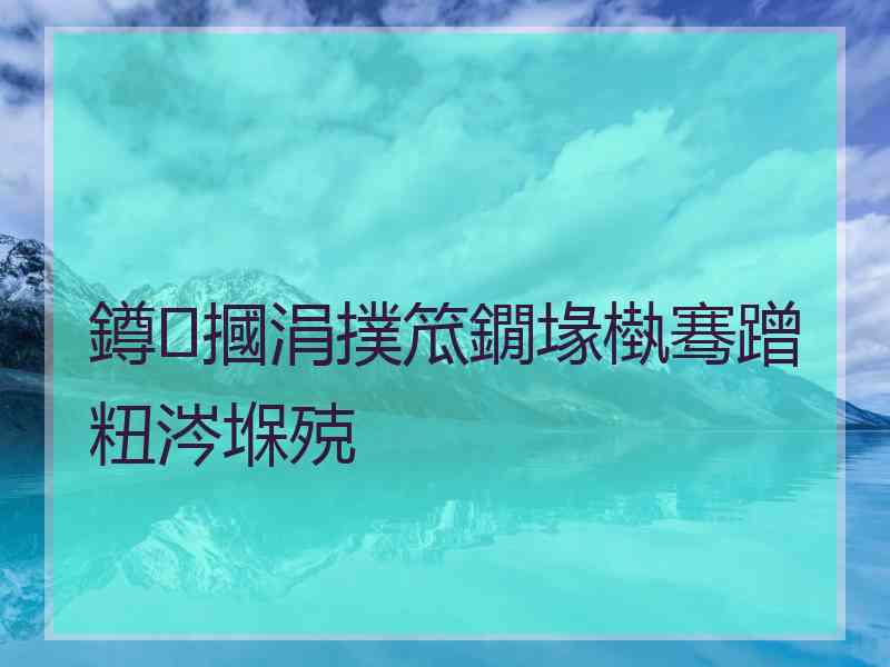 鐏摑涓撲笟鐗堟槸骞蹭粈涔堢殑