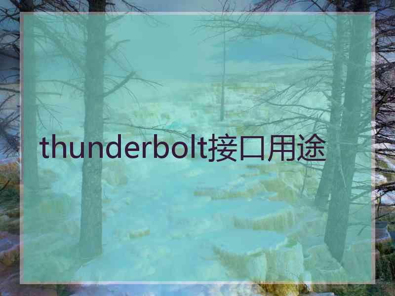 thunderbolt接口用途