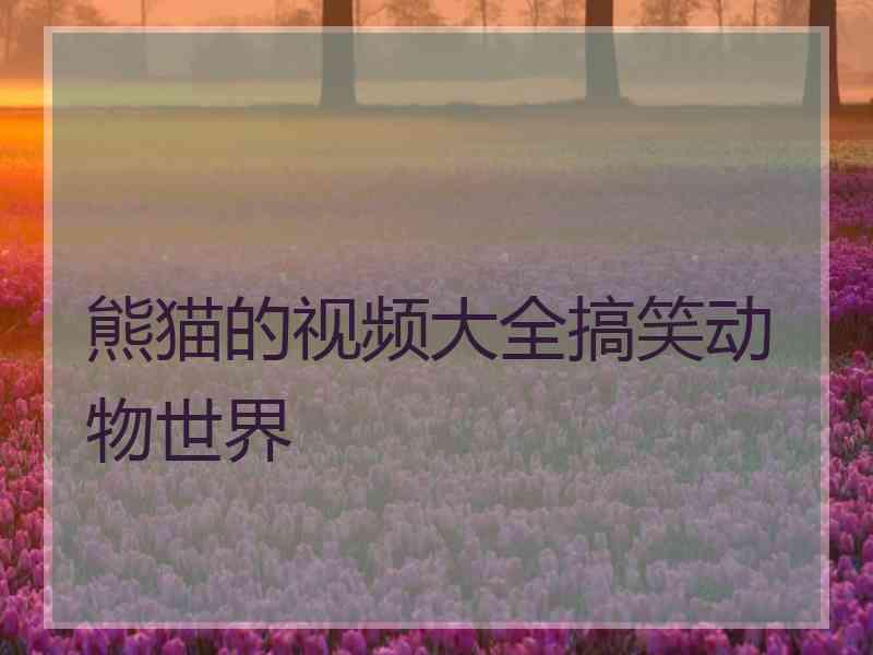 熊猫的视频大全搞笑动物世界