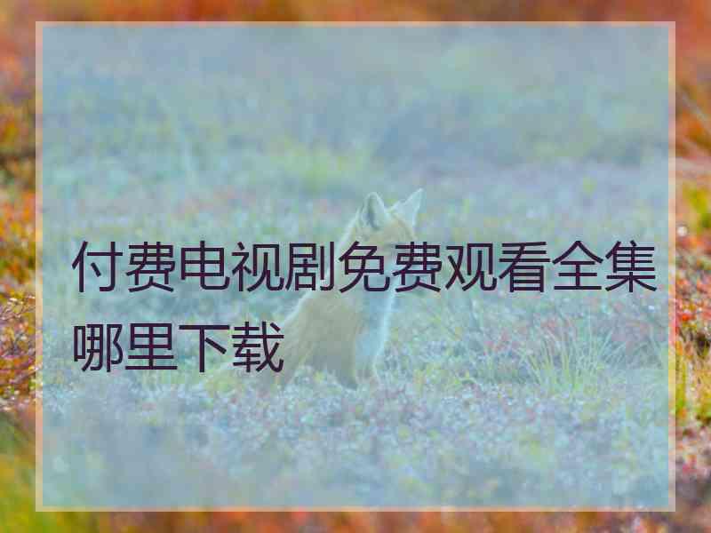 付费电视剧免费观看全集哪里下载