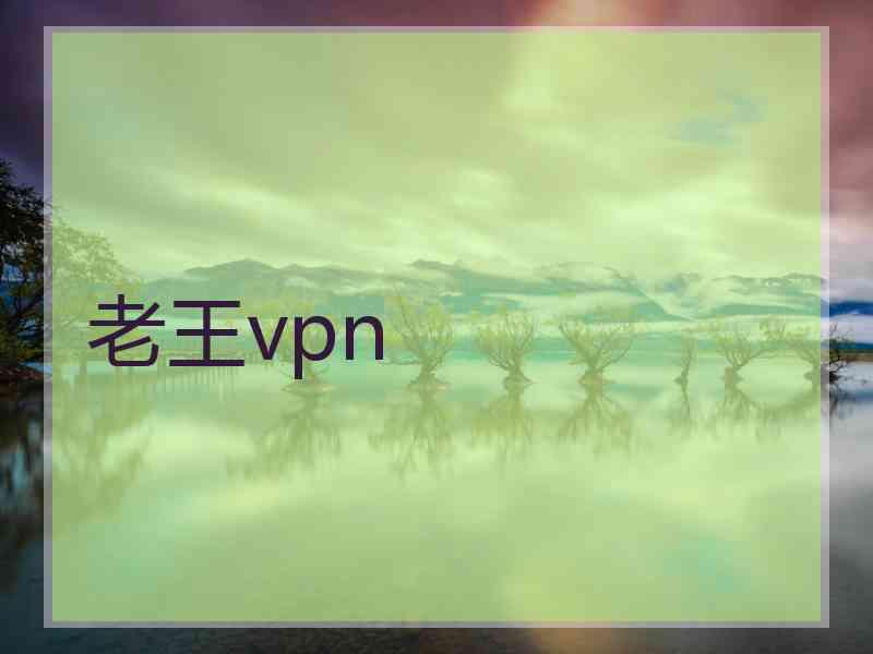 老王vpn