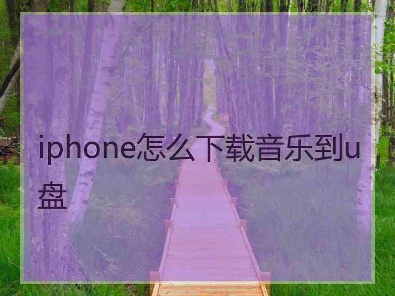 iphone怎么下载音乐到u盘