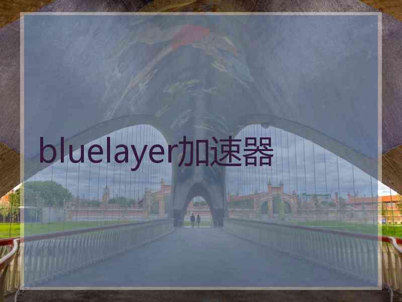 bluelayer加速器