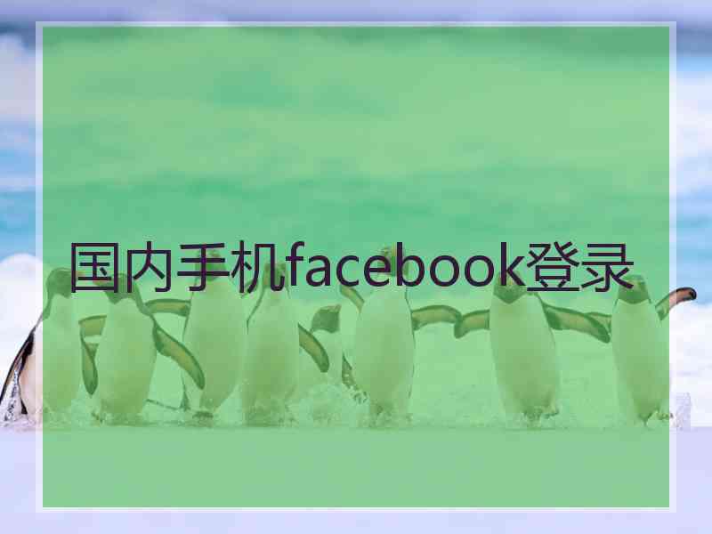 国内手机facebook登录