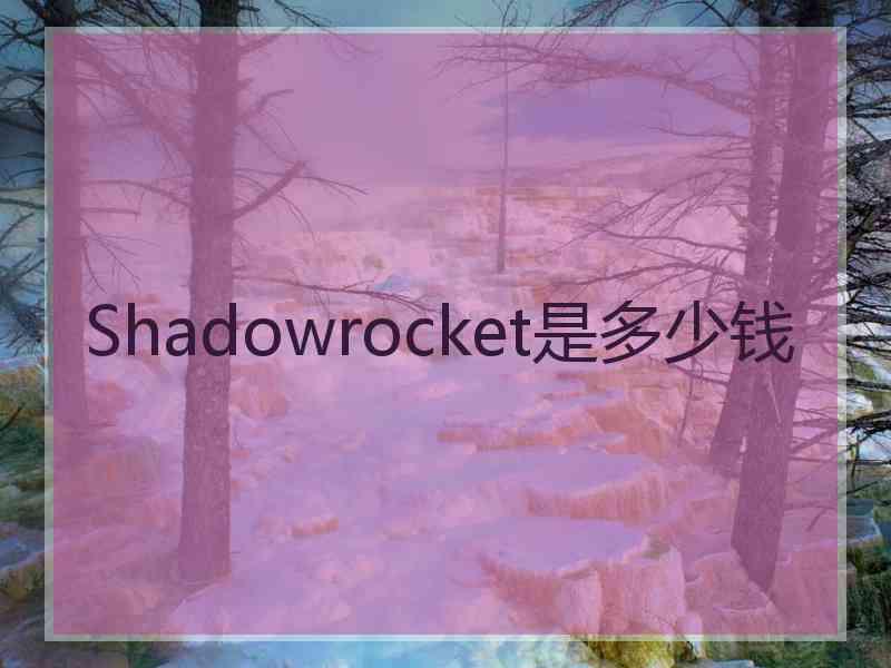 Shadowrocket是多少钱