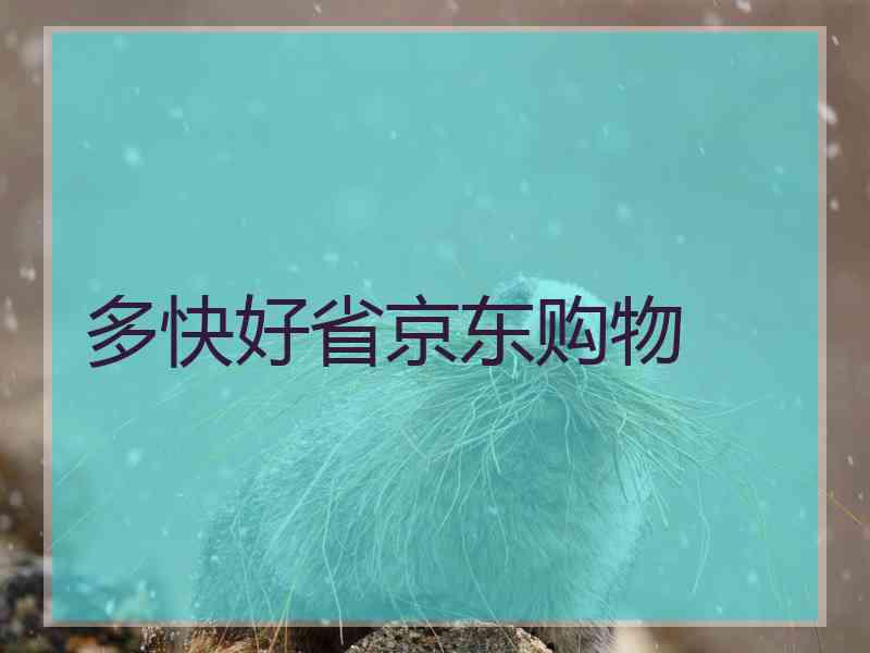 多快好省京东购物