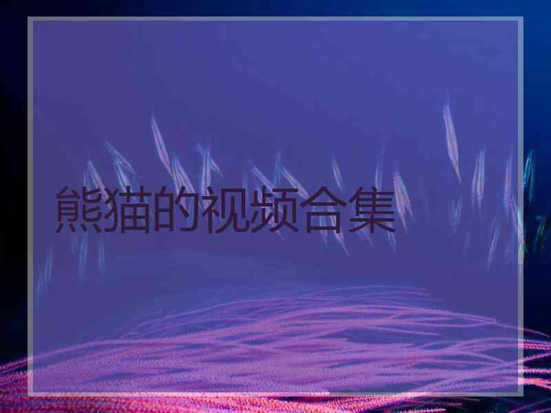 熊猫的视频合集