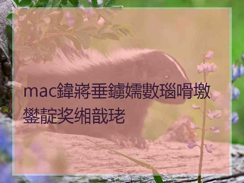 mac鍏嶈垂鐪嬬數瑙嗗墽鐢靛奖缃戠珯