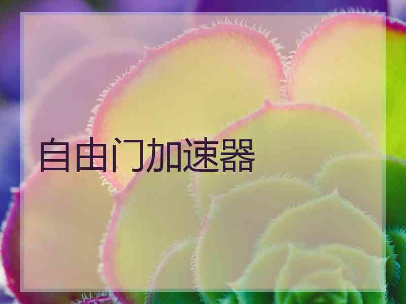 自由门加速器