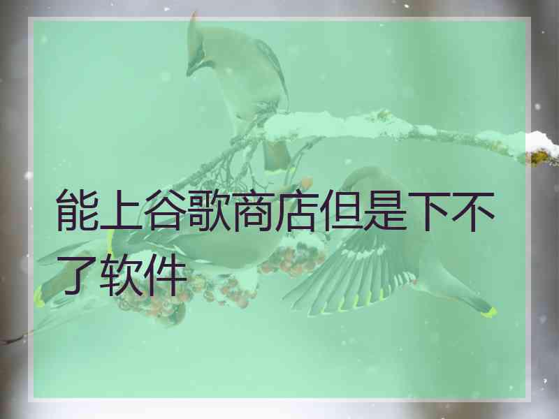 能上谷歌商店但是下不了软件