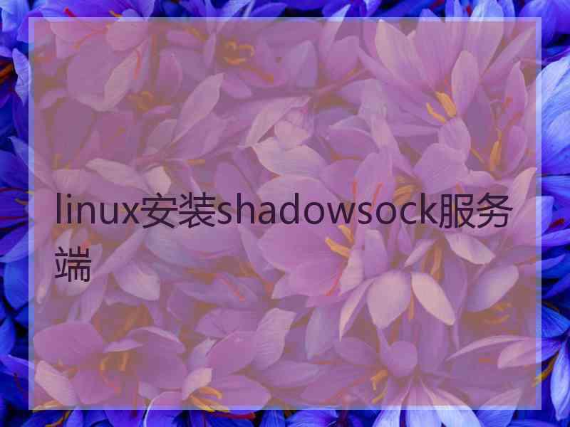 linux安装shadowsock服务端