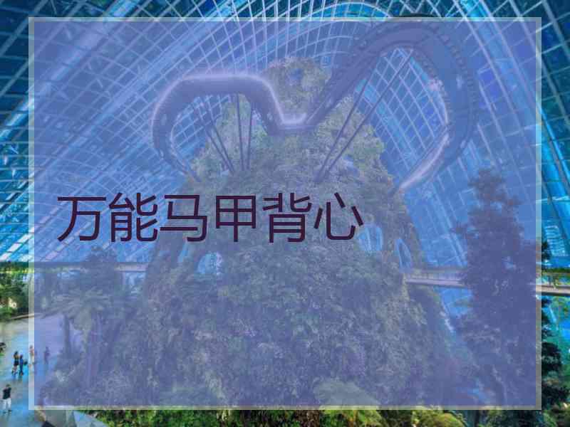 万能马甲背心