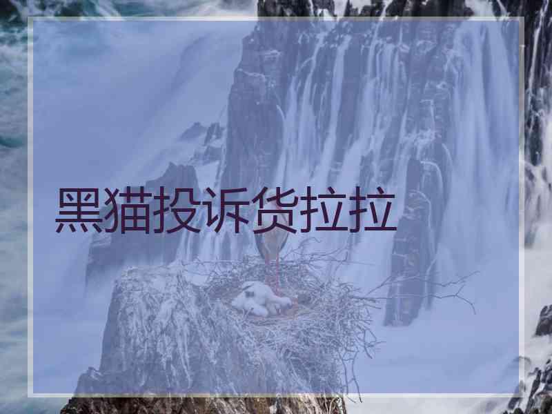 黑猫投诉货拉拉