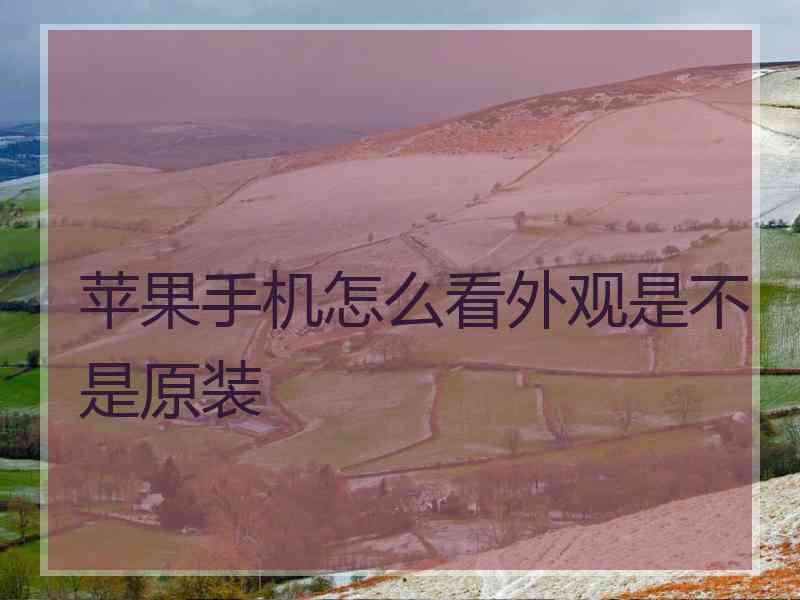 苹果手机怎么看外观是不是原装