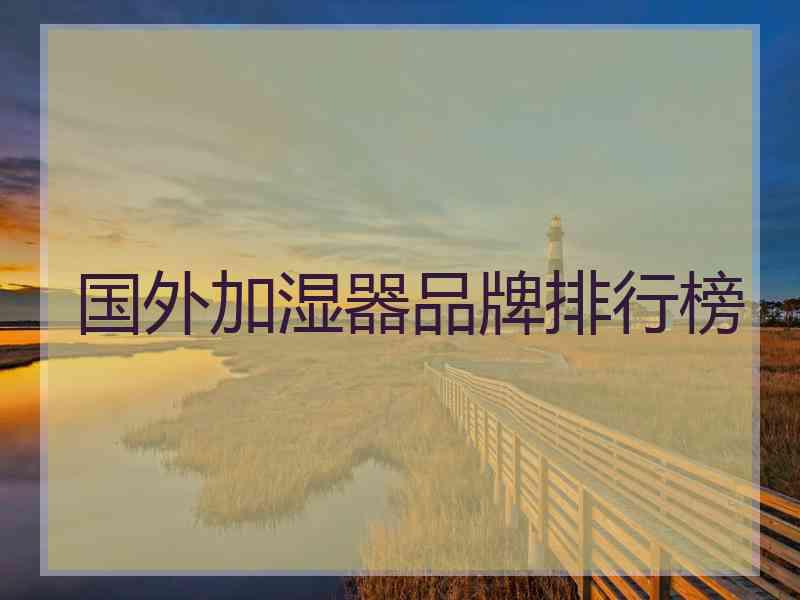 国外加湿器品牌排行榜