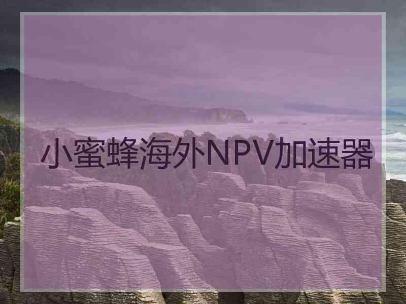 小蜜蜂海外NPV加速器