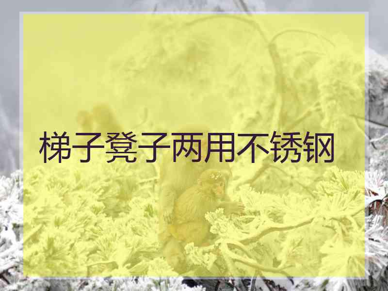 梯子凳子两用不锈钢