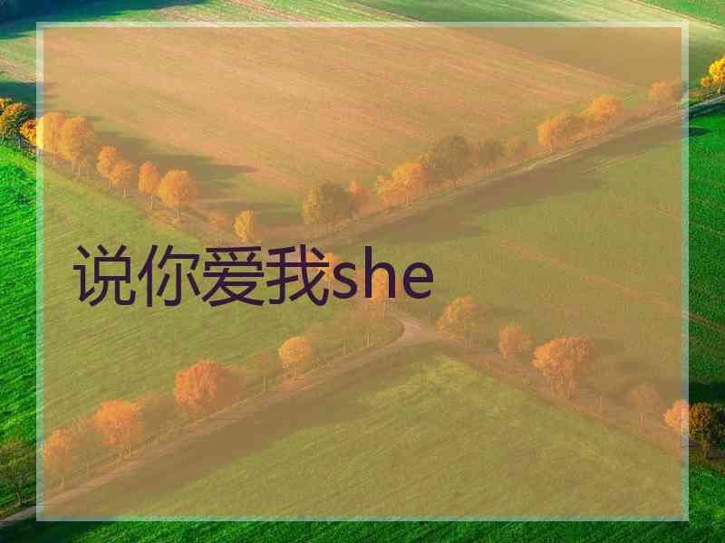 说你爱我she