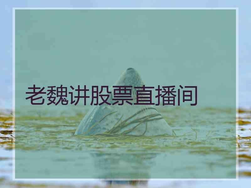 老魏讲股票直播间
