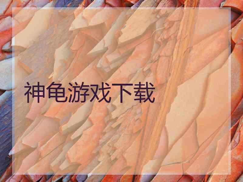 神龟游戏下载
