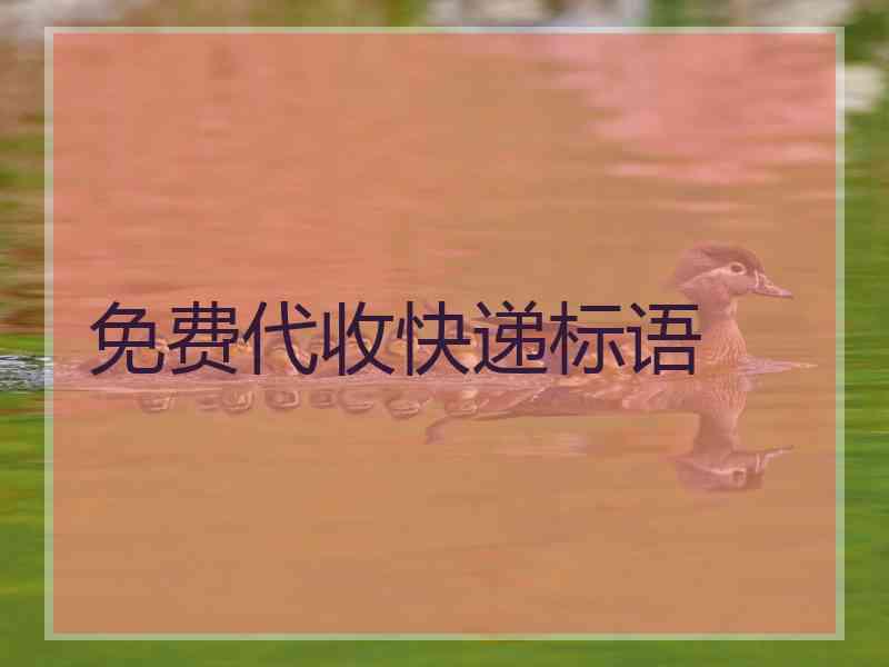 免费代收快递标语