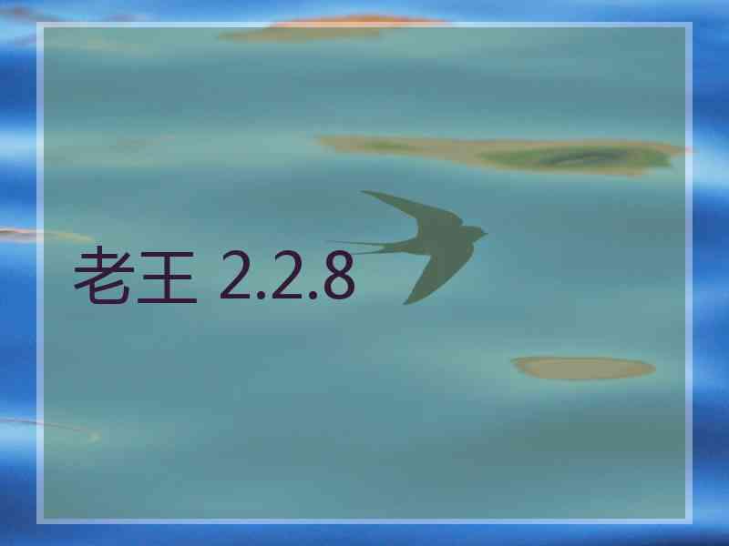 老王 2.2.8