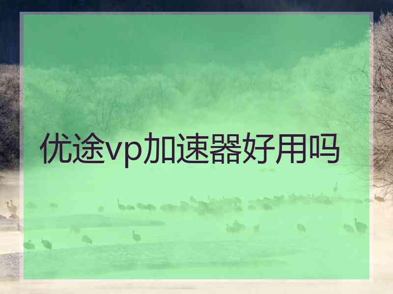 优途vp加速器好用吗